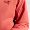 Atom Hoody Men's