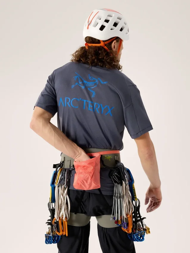 Ion SL Chalkbag
