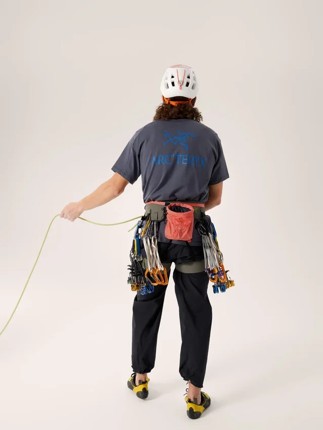 Ion SL Chalkbag