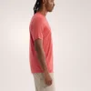 Ionia Merino Wool Shirt SS Men's