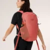 Mantis 16 Backpack