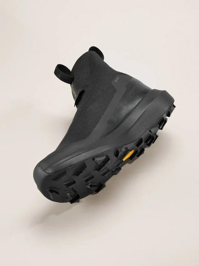 Norvan 4 Nivalis GTX Shoe Men's