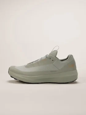 Norvan LD 4 GTX Shoe Men's