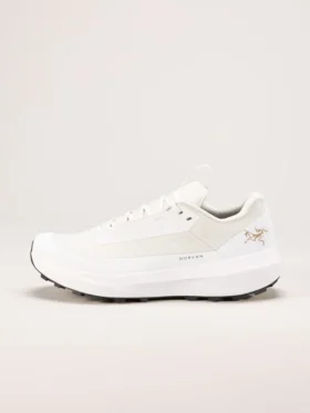 Norvan LD 4 GTX Shoe Men's