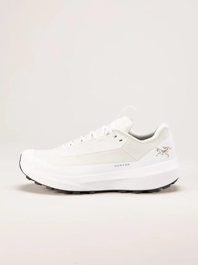 Norvan LD 4 GTX Shoe Men's