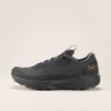 Norvan LD 4 GTX Shoe Men's