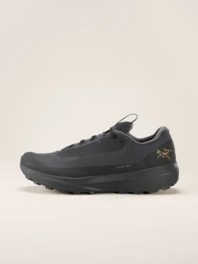 Norvan LD 4 GTX Shoe Men's