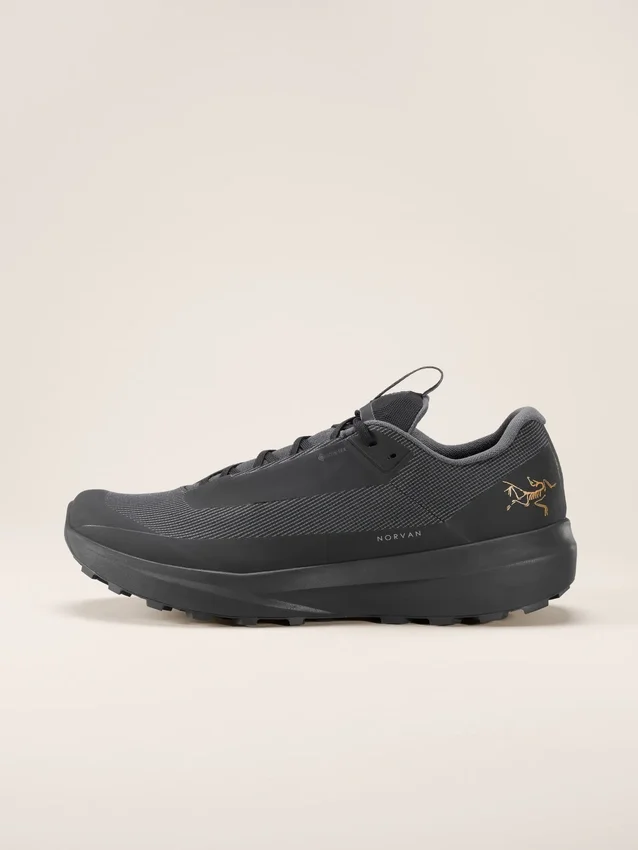 Norvan LD 4 GTX Shoe Men's