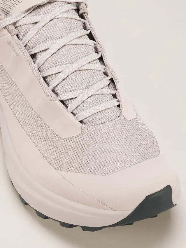 Norvan LD 4 GTX Shoe Men's