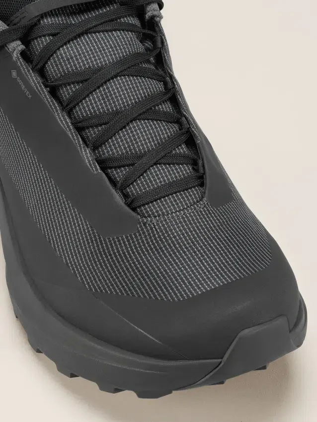 Norvan LD 4 GTX Shoe Men's