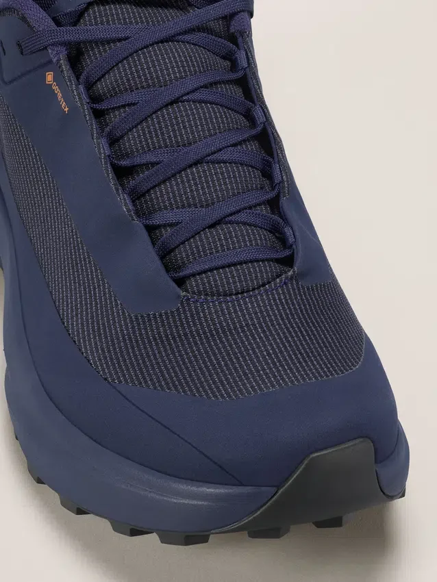 Norvan LD 4 GTX Shoe Men's