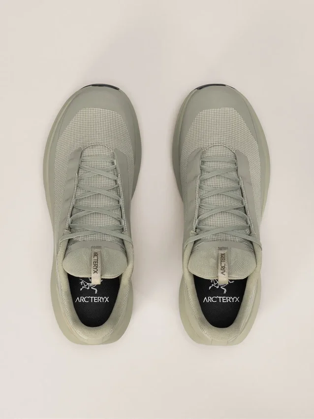Norvan LD 4 GTX Shoe Men's