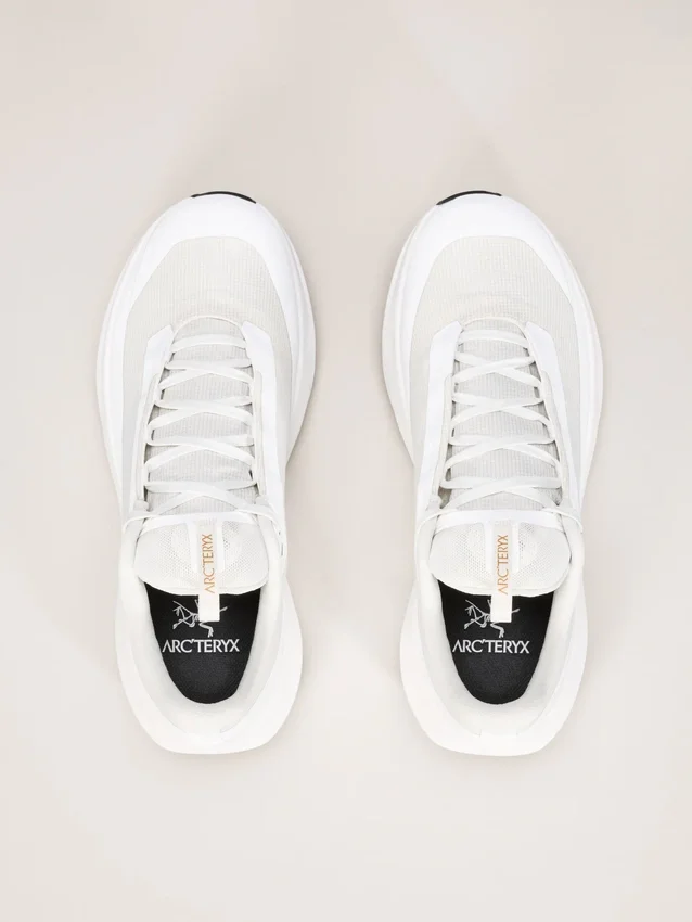 Norvan LD 4 GTX Shoe Men's
