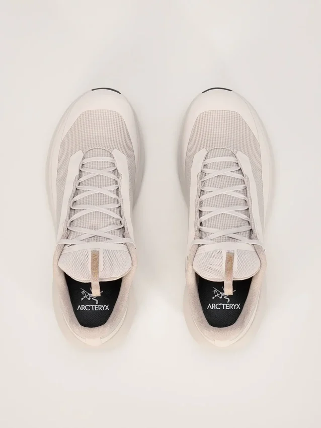 Norvan LD 4 GTX Shoe Men's