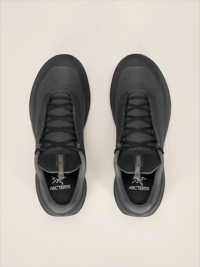 Norvan LD 4 GTX Shoe Men's