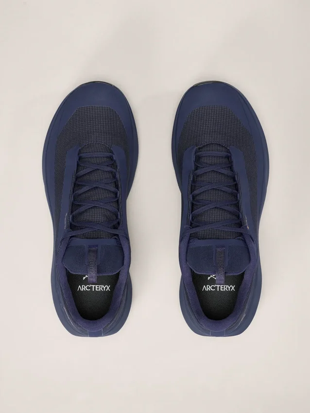 Norvan LD 4 GTX Shoe Men's
