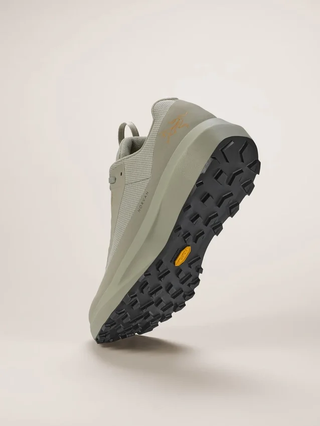 Norvan LD 4 GTX Shoe Men's