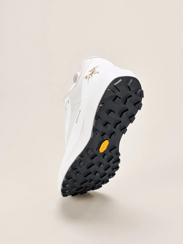 Norvan LD 4 GTX Shoe Men's