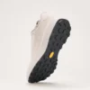 Norvan LD 4 GTX Shoe Men's