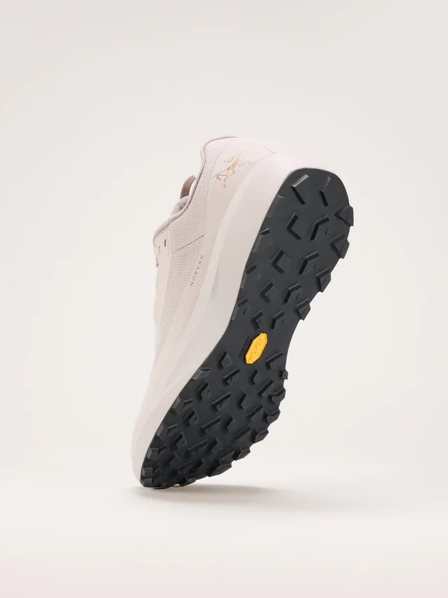Norvan LD 4 GTX Shoe Men's