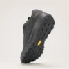 Norvan LD 4 GTX Shoe Men's