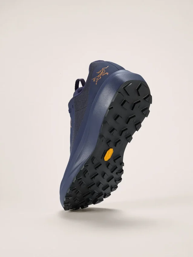 Norvan LD 4 GTX Shoe Men's