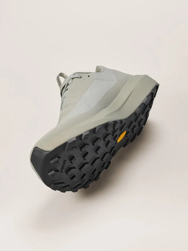 Norvan LD 4 GTX Shoe Men's