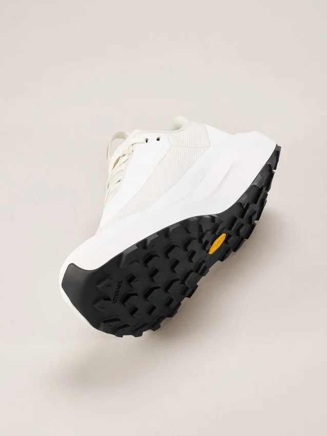 Norvan LD 4 GTX Shoe Men's