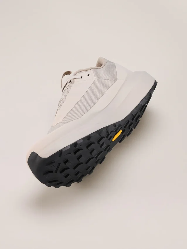 Norvan LD 4 GTX Shoe Men's