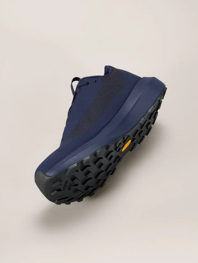 Norvan LD 4 GTX Shoe Men's