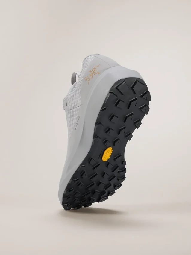 Norvan LD 4 GTX Shoe Women's