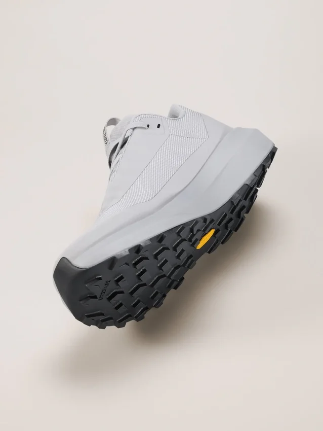 Norvan LD 4 GTX Shoe Women's