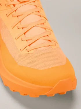 Norvan LD 4 Shoe Men’s