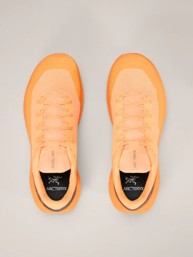 Norvan LD 4 Shoe Men's