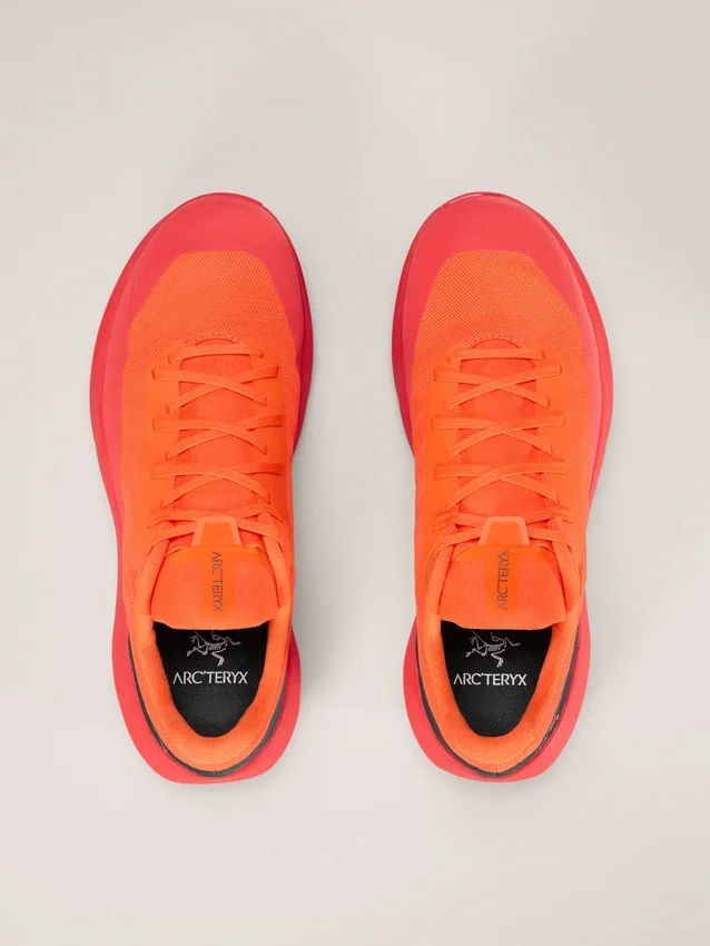 Norvan LD 4 Shoe Men's