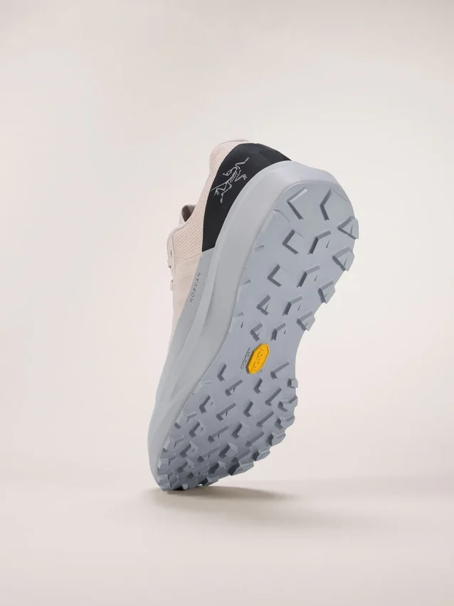 Norvan LD 4 Shoe Men's