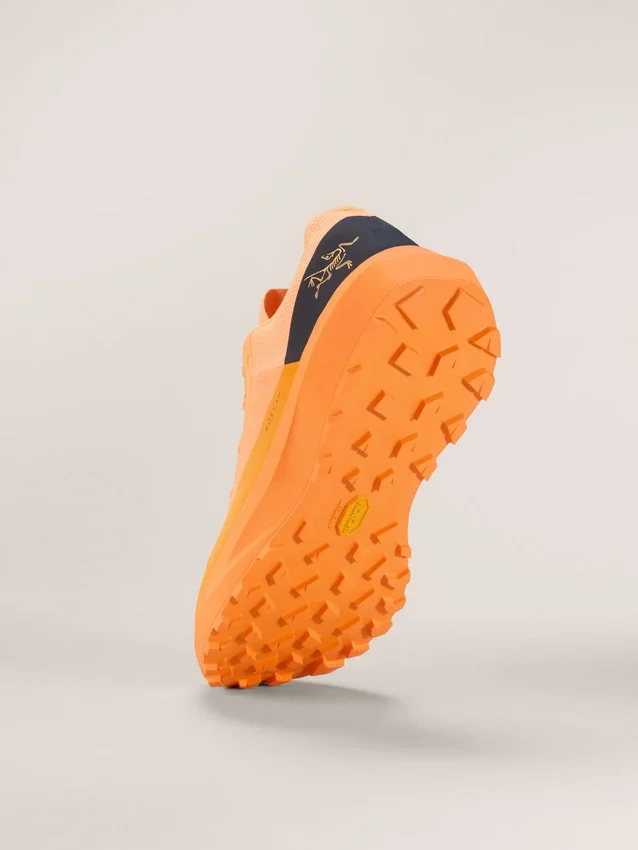 Norvan LD 4 Shoe Men's