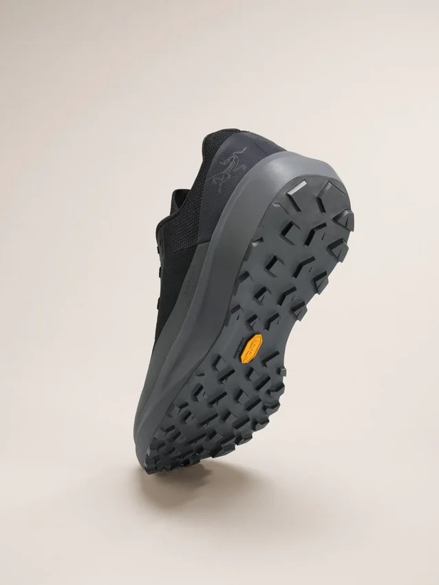 Norvan LD 4 Shoe Men's