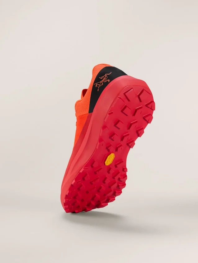 Norvan LD 4 Shoe Men's