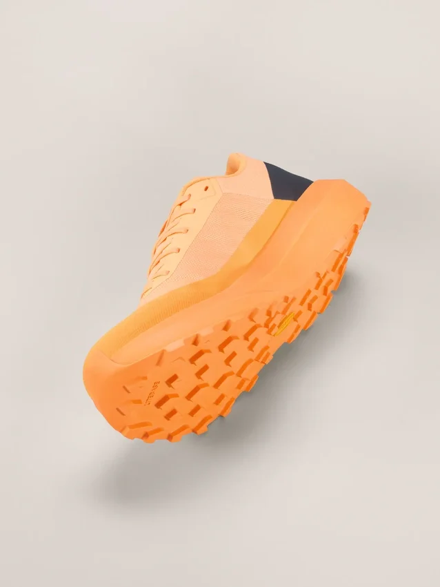 Norvan LD 4 Shoe Men's