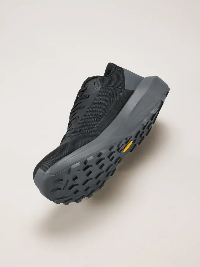 Norvan LD 4 Shoe Men's