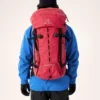 Nozone PRO 40 Pack