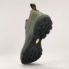 Vertex Alpine GTX Shoe Men's
