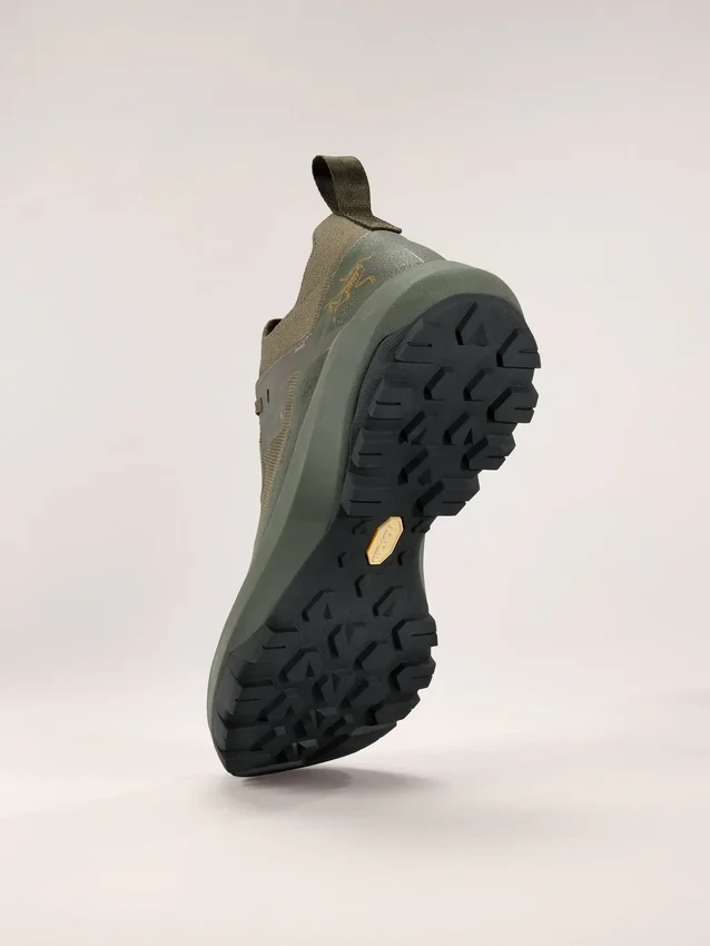 Vertex Alpine GTX Shoe Men's